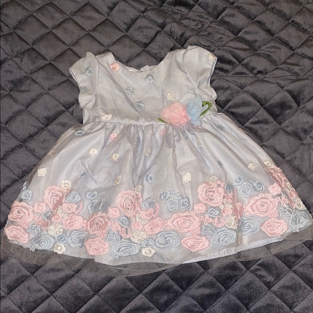 Pink and Blue Flutter Sleeve Scoop Neck Floral Formal Dress